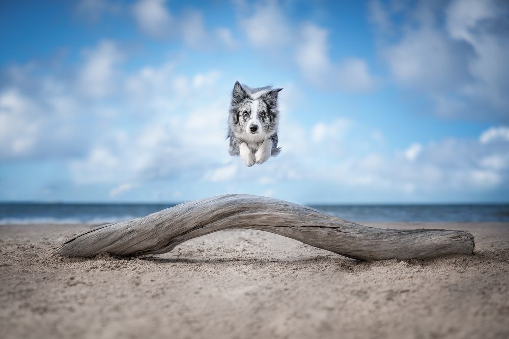 Photograph by Татьяна Полякова