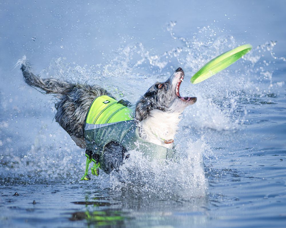 Photograph by Татьяна Полякова