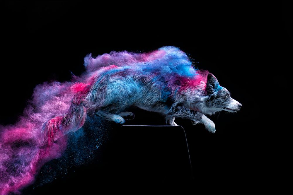 Photograph by Татьяна Полякова