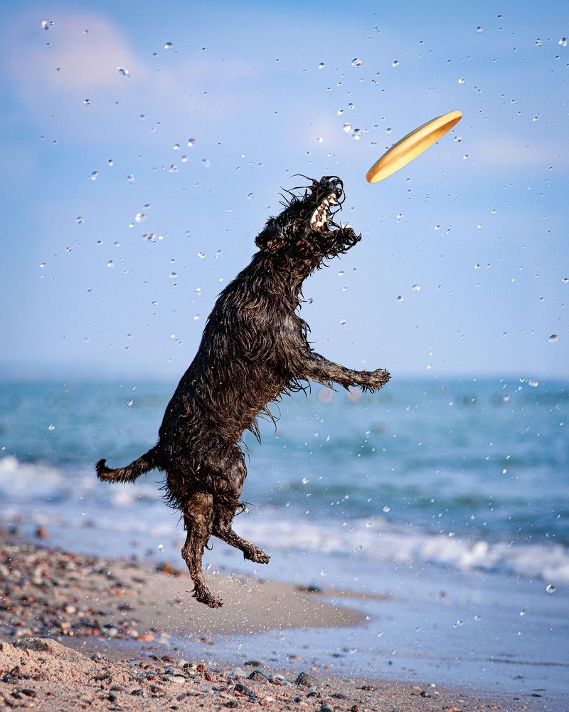 Photograph by Татьяна Полякова