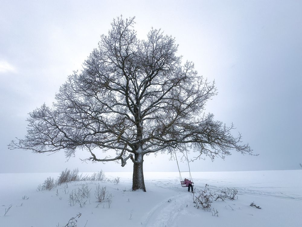 Photograph by Елена Станькова