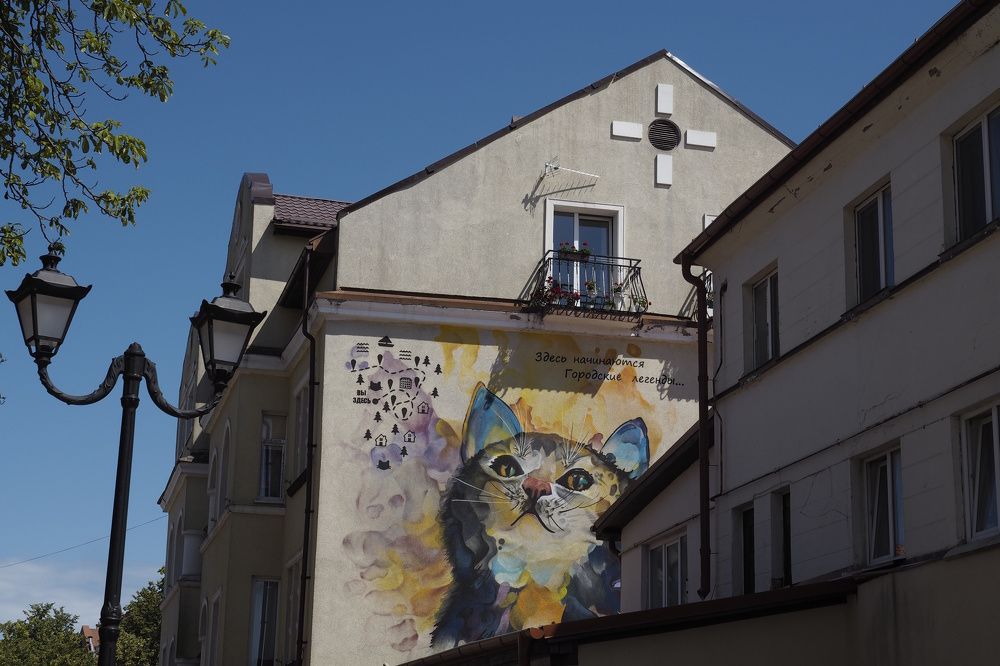 Photograph by Дмитрий Решетник