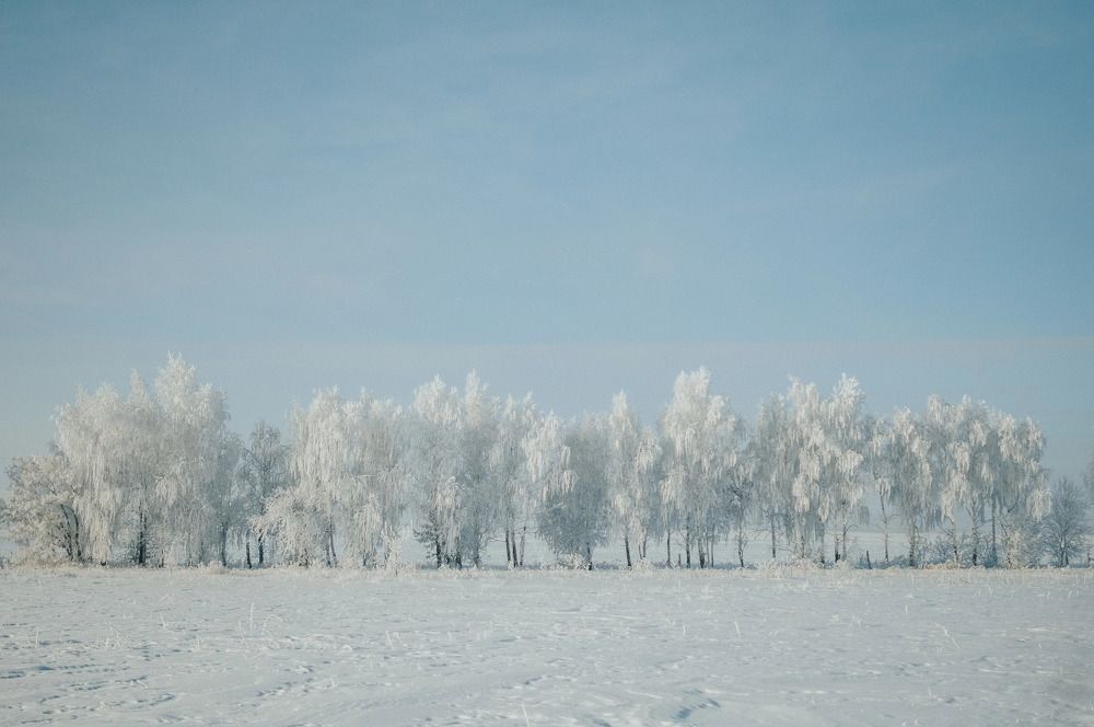 Photograph by Рустам Хусаинов