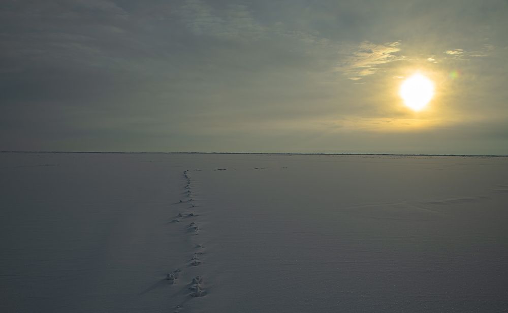 Photograph by Ирина Бескровная