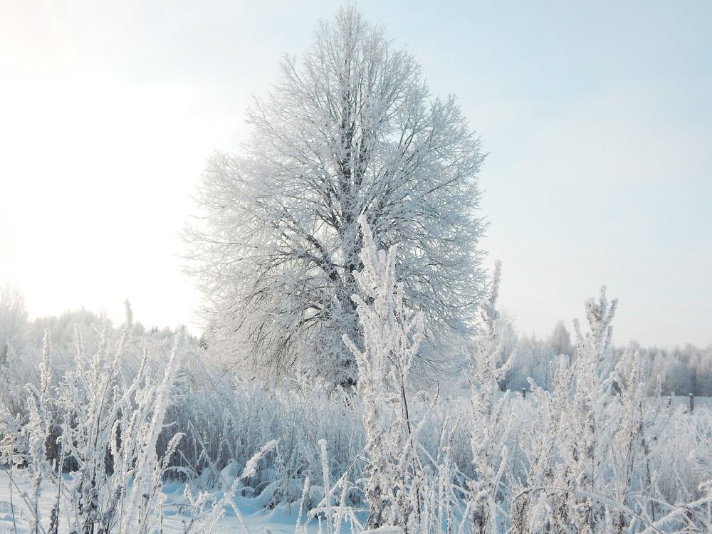 Photograph by Юрий Пучков