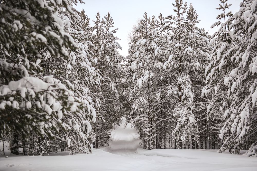 Photograph by Марина Киприна