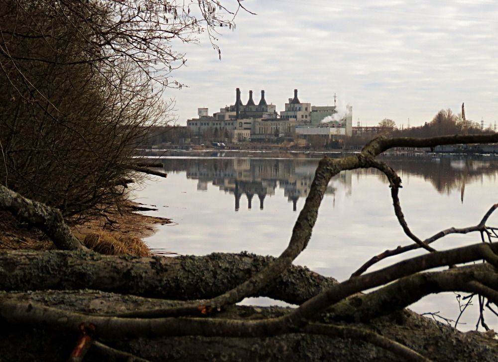 Photograph by Галина Пименова