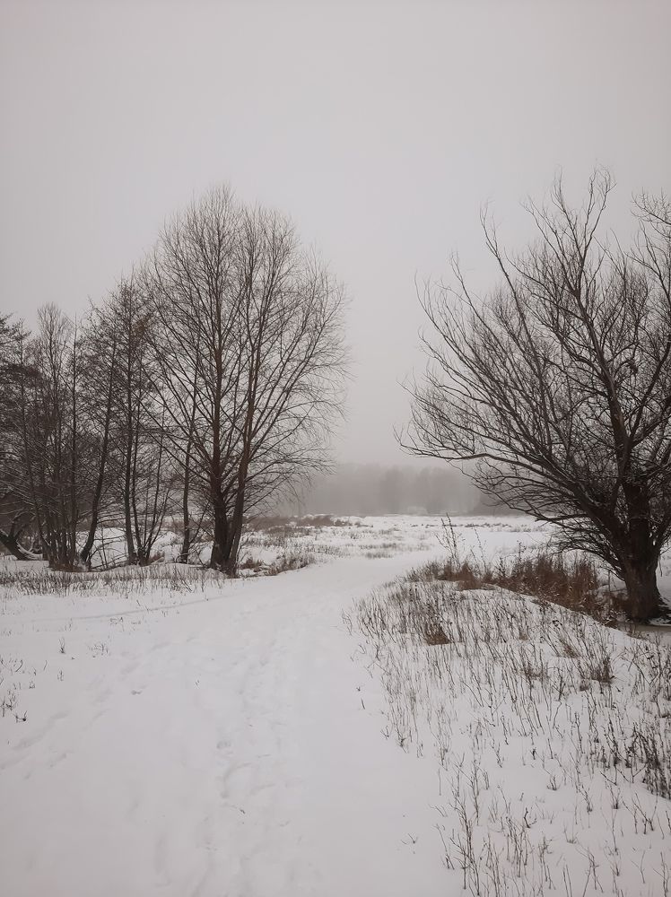 Photograph by Юлия Закопайло