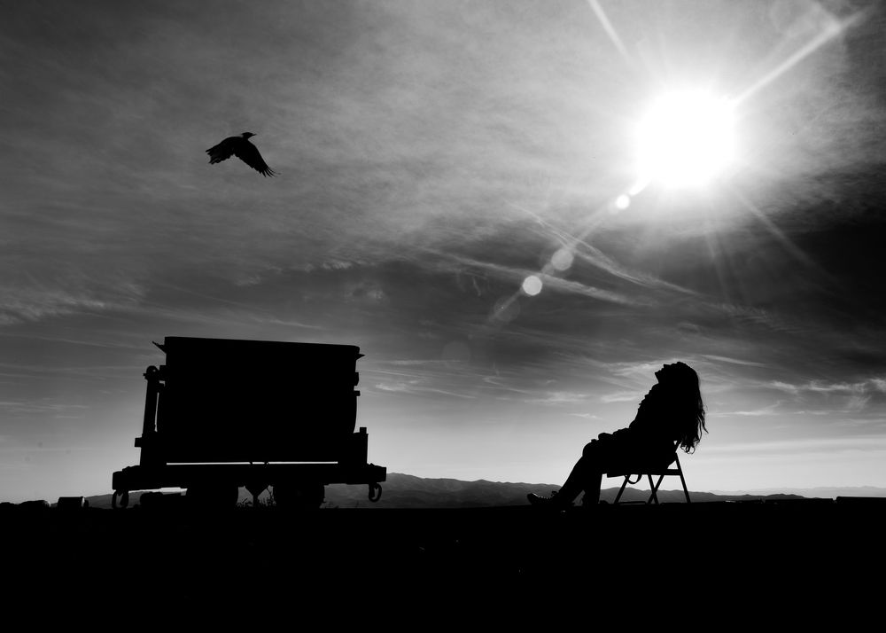 Photograph by seyed mostafa yousefi