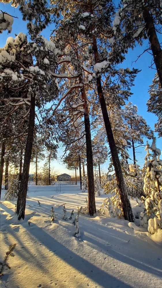 Фотография автора Евгения Зайцева