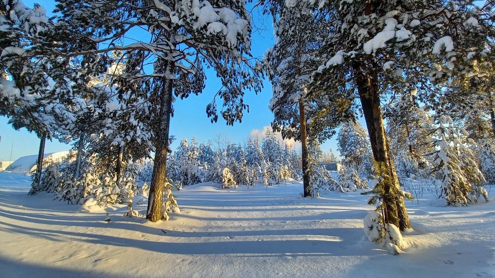 Фотография автора Евгения Зайцева