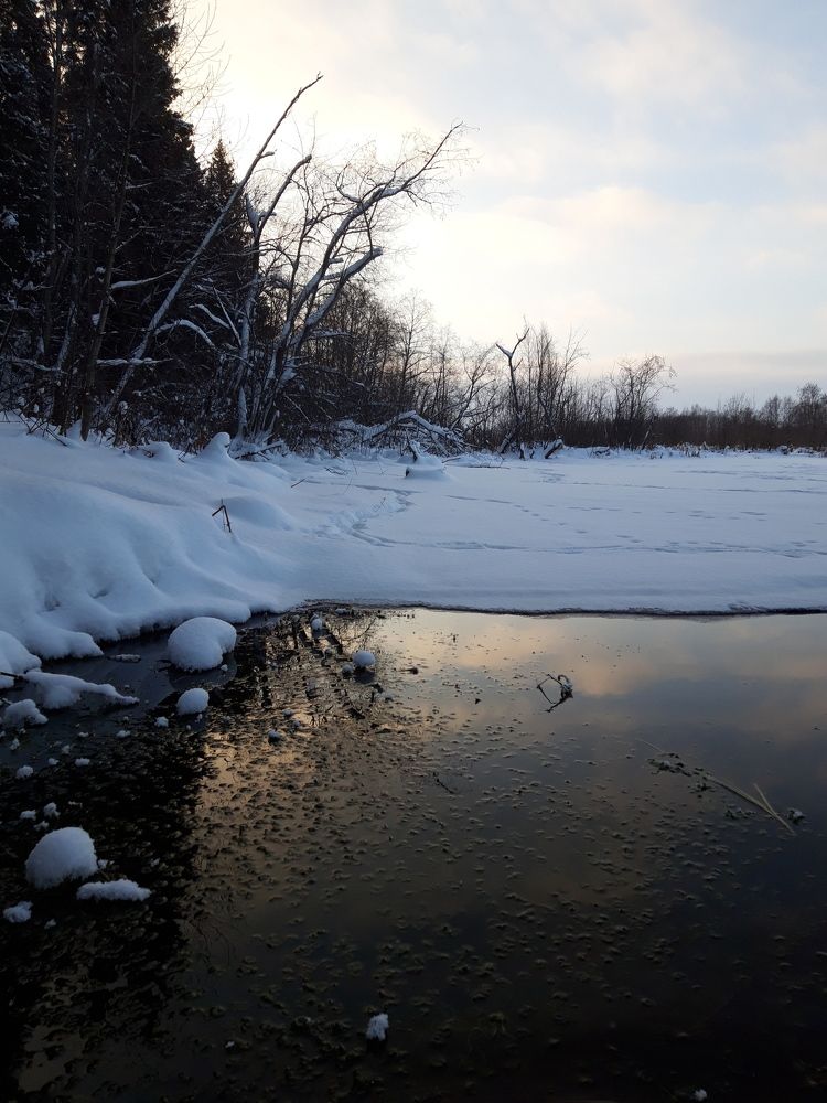Photo #10016243