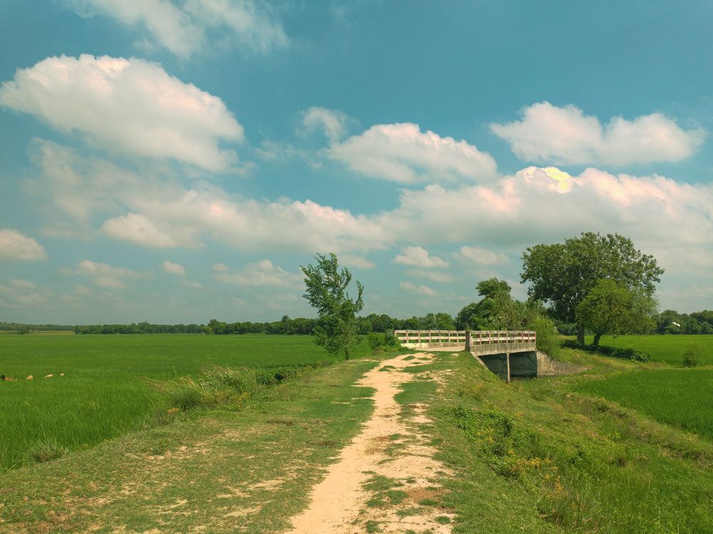 Фотография автора Reham Rahat