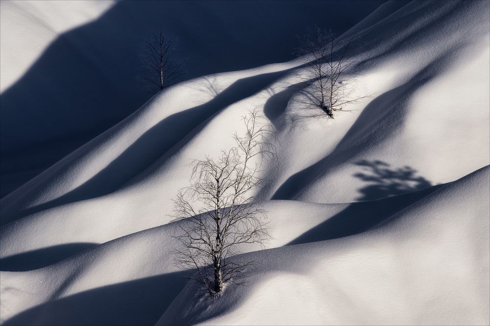 Photograph by Богорянов Алексей