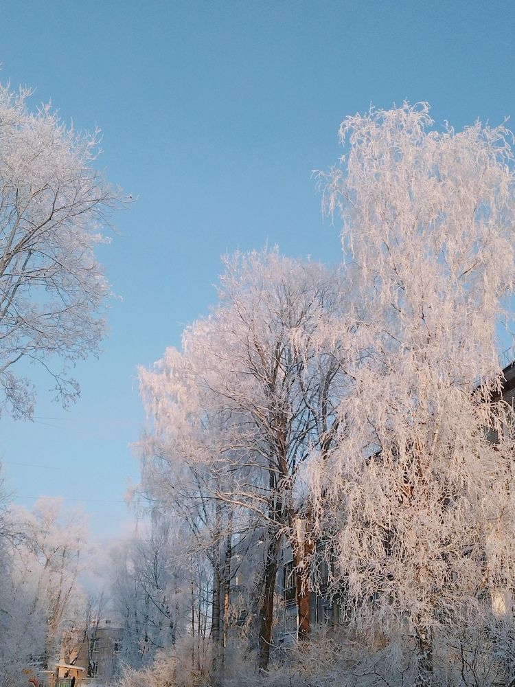 Photo #10016303