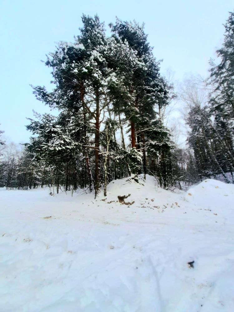 Photograph by Екатерина