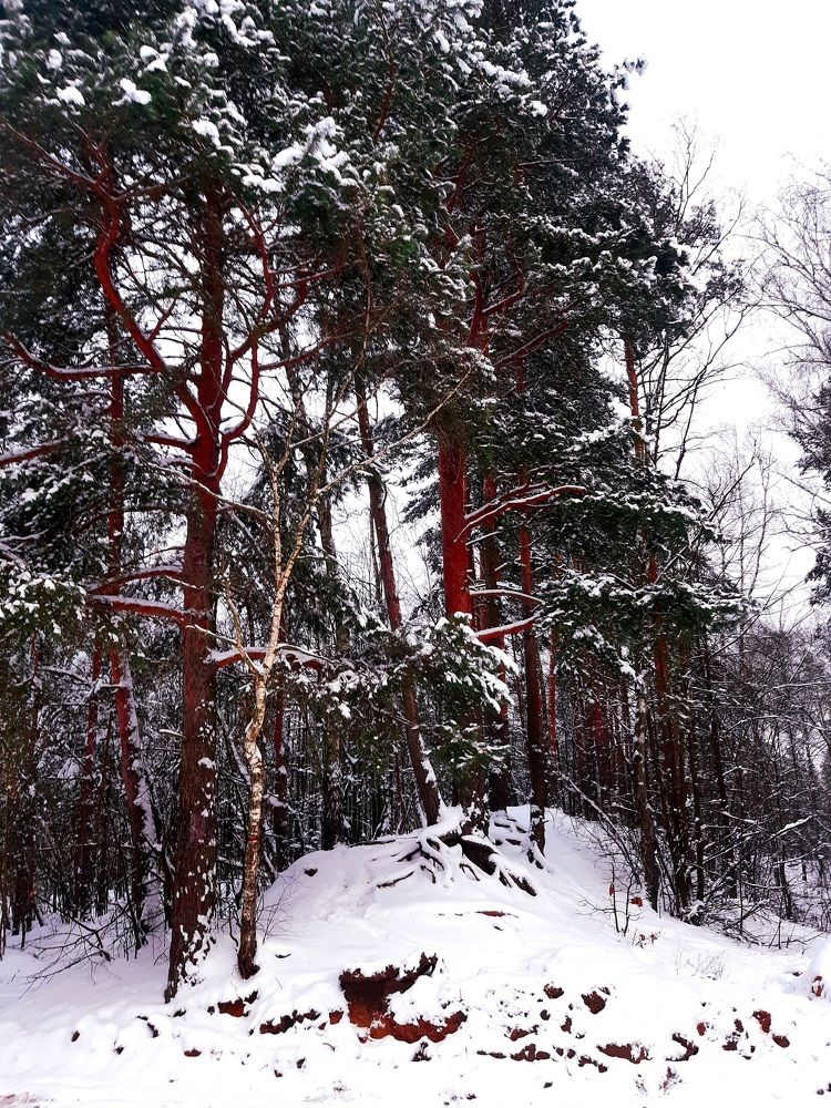 Photograph by Екатерина