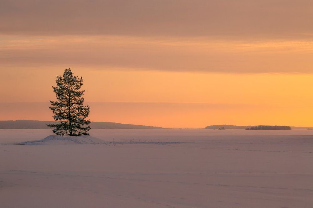 Photograph by Дмитрий Петухов