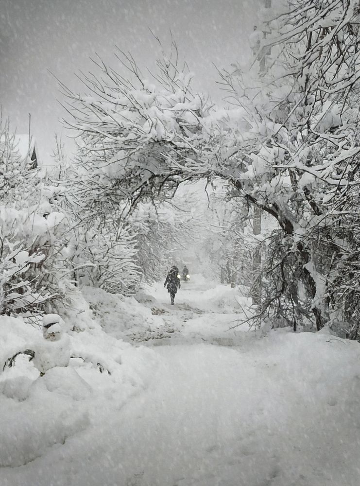 Photograph by Ксения Шило