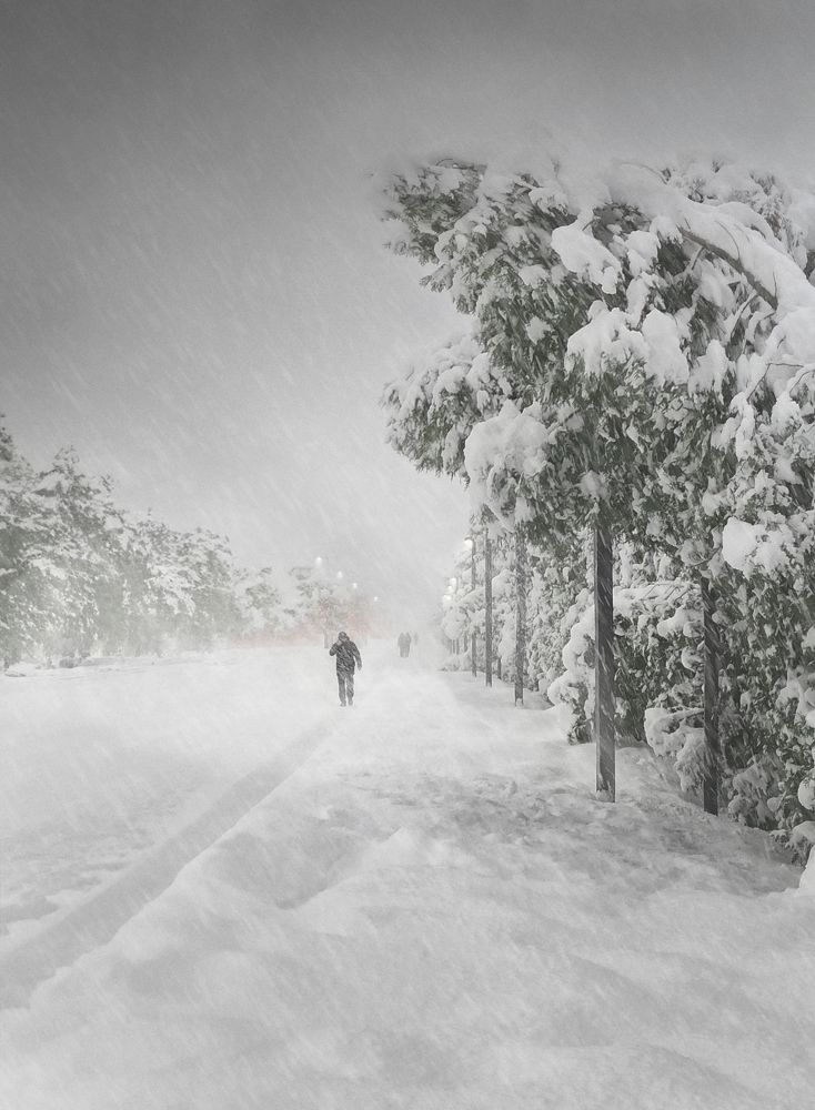 Photograph by Ксения Шило