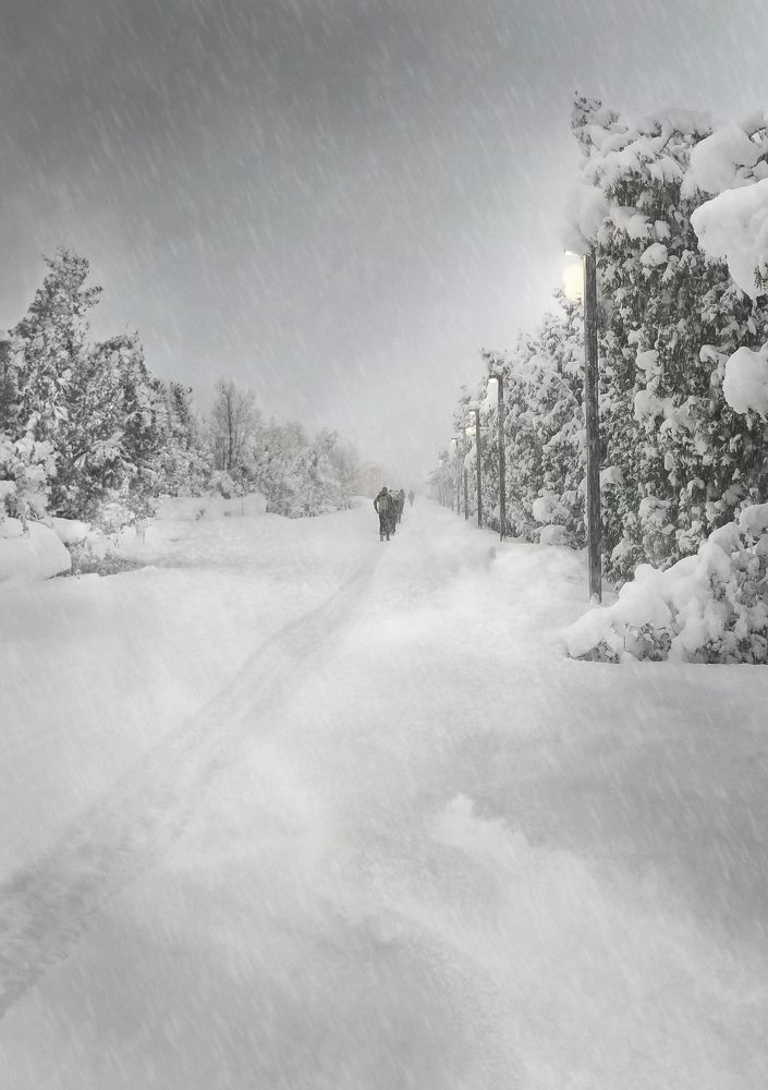 Photograph by Ксения Шило