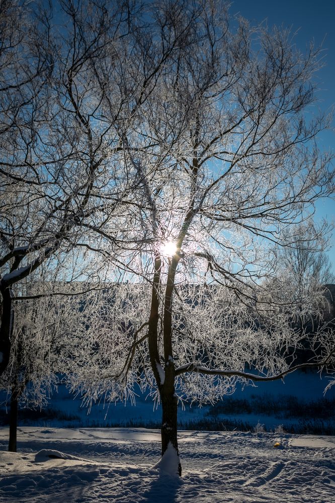 Фотография автора Игорь Куксинский