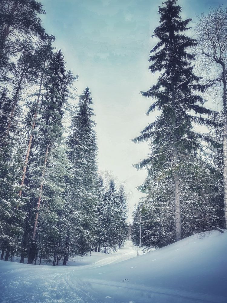 Photograph by Олеся Лагутина