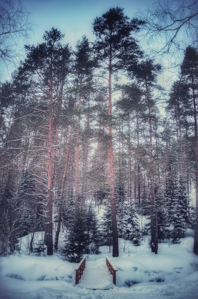 Photograph by Олеся Лагутина