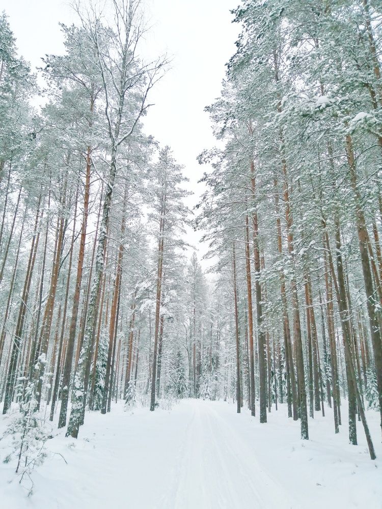 Photograph by Мария