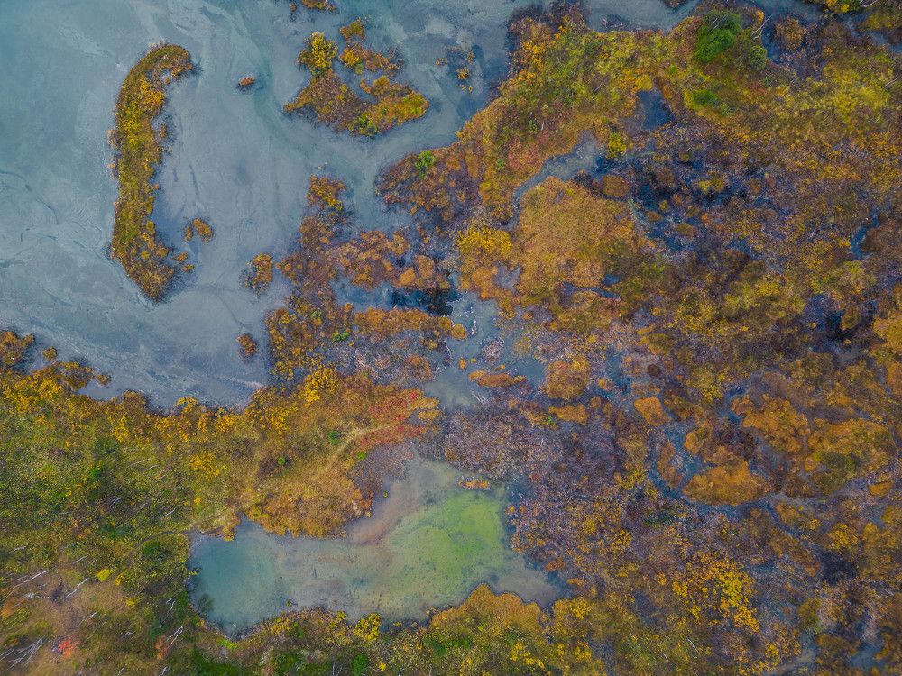 Photograph by Михаил Азаров