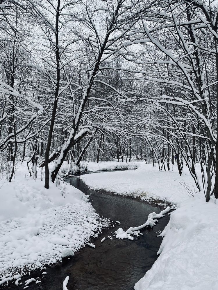 Photograph by Олеся Лагутина