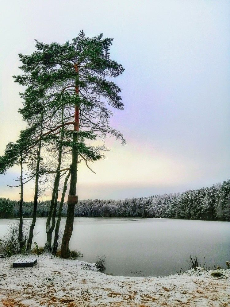 Photograph by Мария