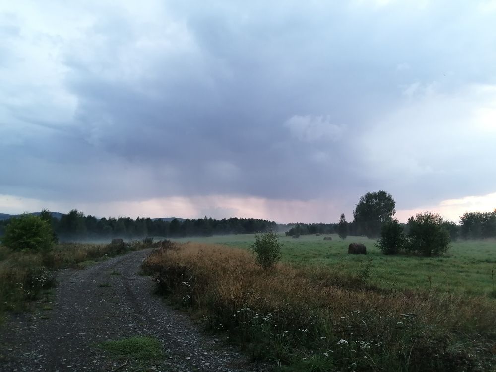 Photograph by Никита Сокольников