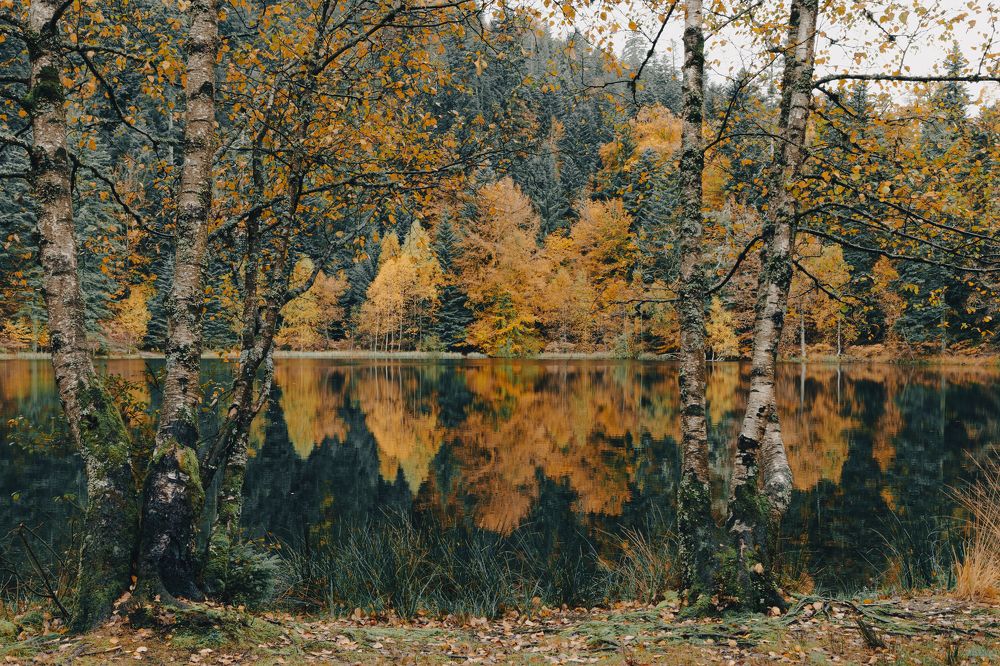 Photograph by Lionel Thenadey