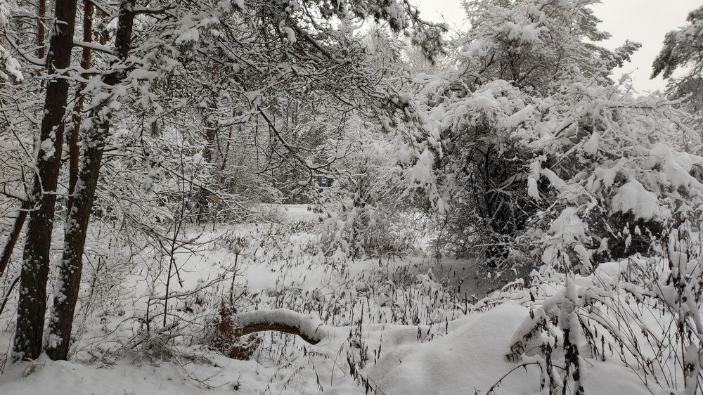 Photograph by Марийона Савоненко