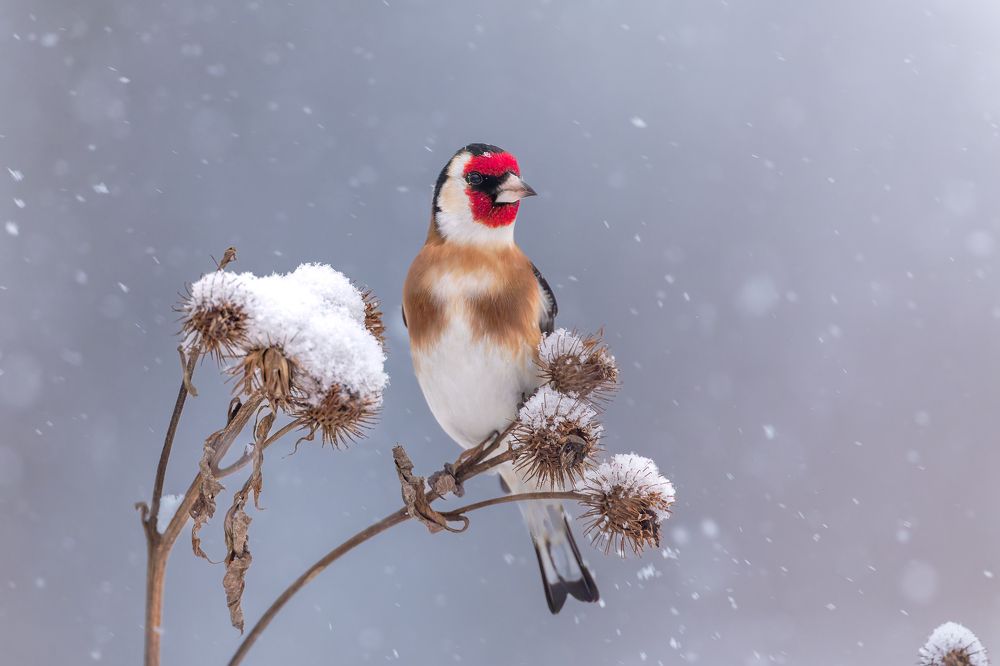 Photograph by Антон Науменко