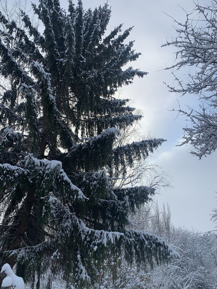 Photograph by Анаит Даниелян