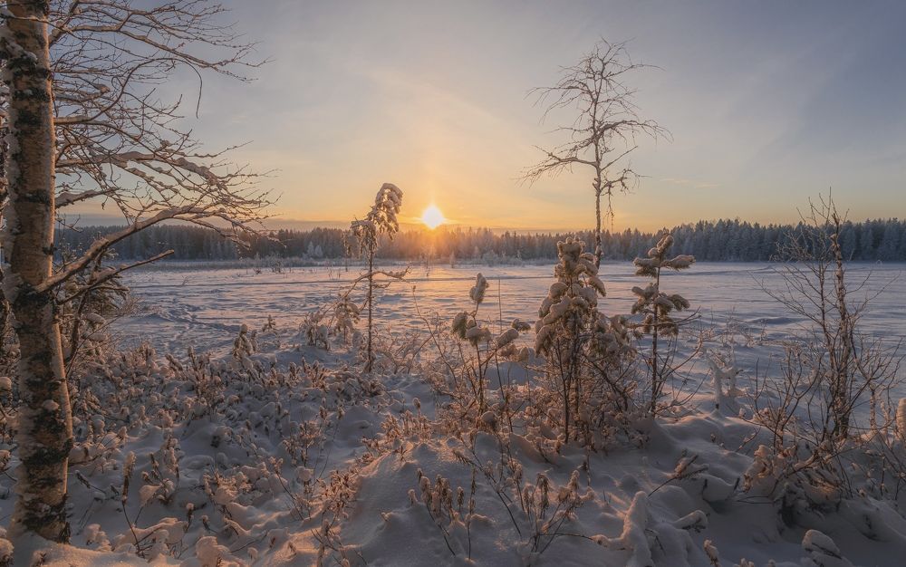 Photograph by Николай Константинов