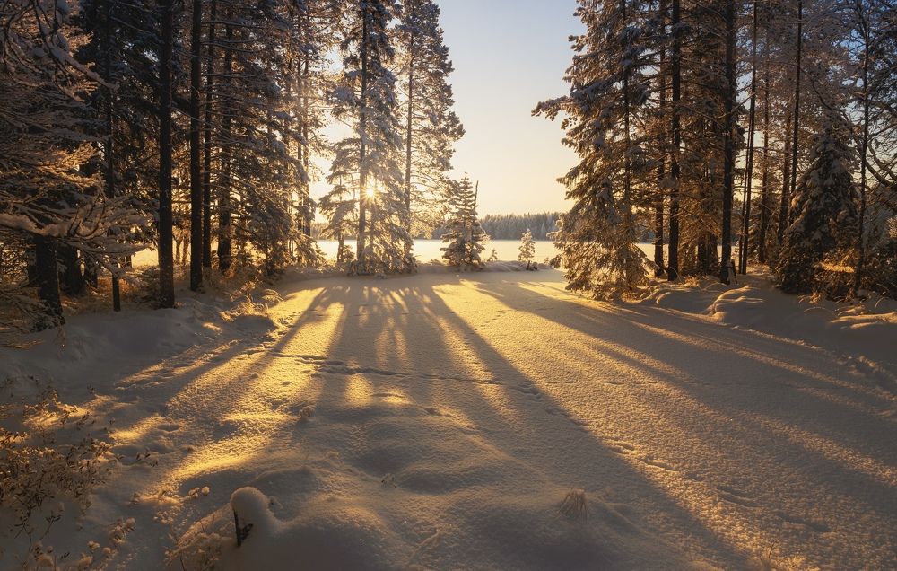 Photograph by Николай Константинов