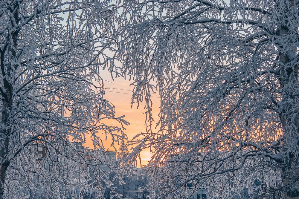 Photograph by Ольга Ситникова