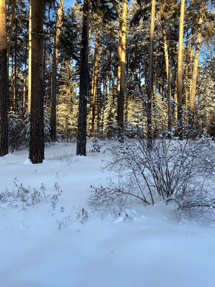 Photograph by Вера Романова