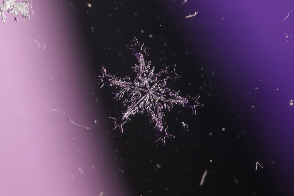 Photograph by Сергей Назаредский