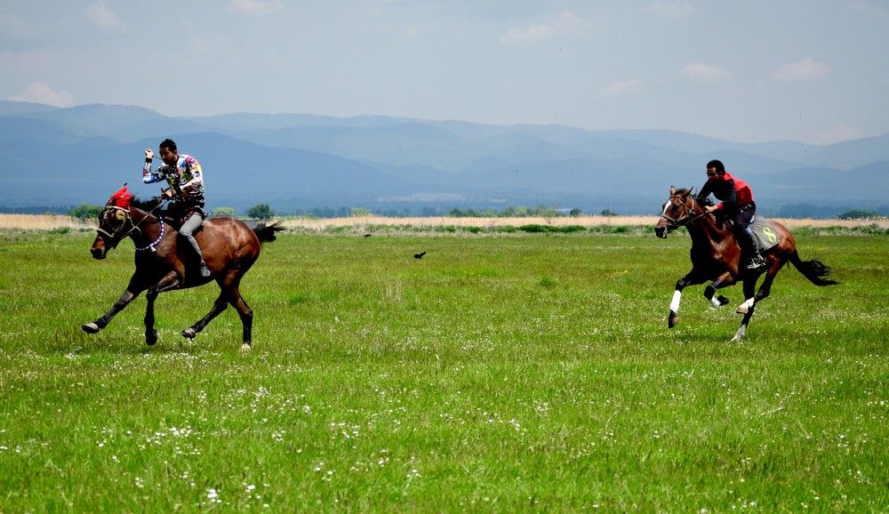 Photograph by Vyacheslav Popov