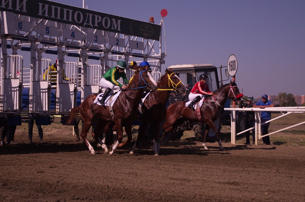 Photograph by Вячеслав Сачков