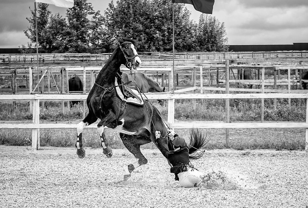 Photograph by Екатерина Лебедева