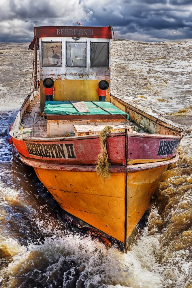 Фотография автора Carlos Gianoli