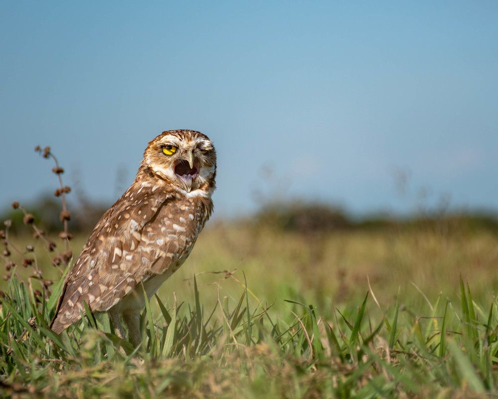 Photograph by Mateo García Mejía
