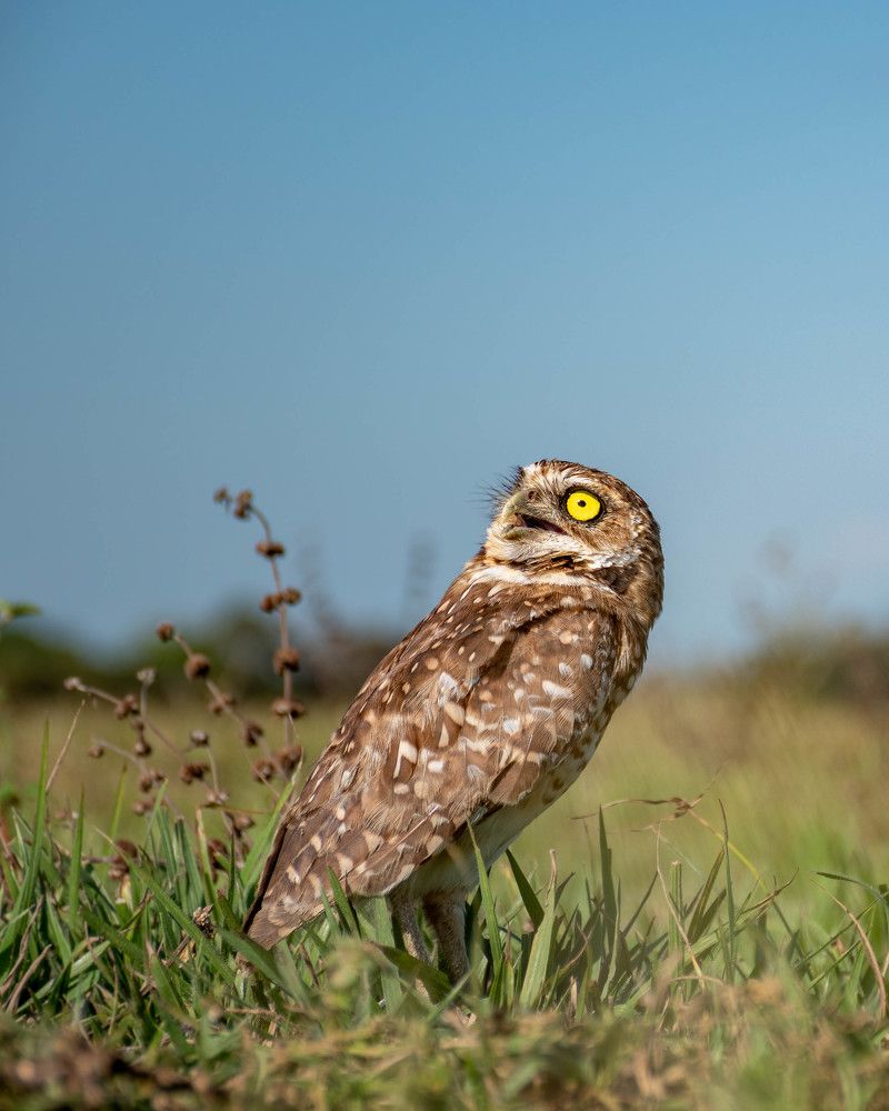 Photograph by Mateo García Mejía