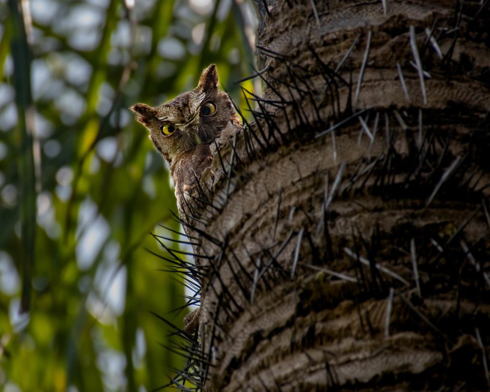 Photograph by Mateo García Mejía