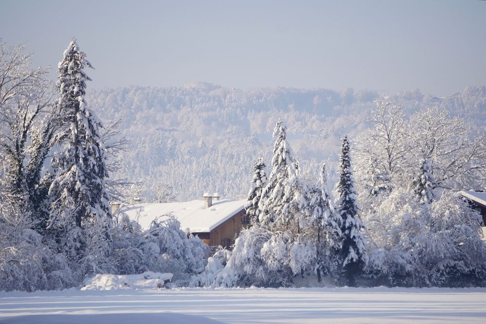 Фотография автора Liudmila Kiermeier